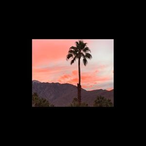 Meet your Posher, Mimi